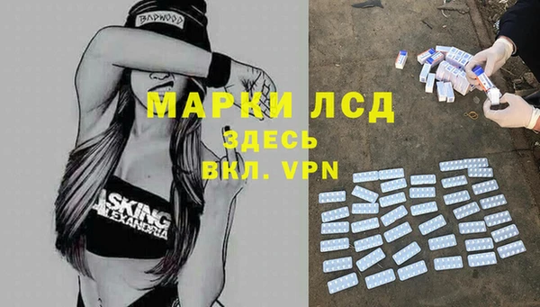 прущие грибы Баксан