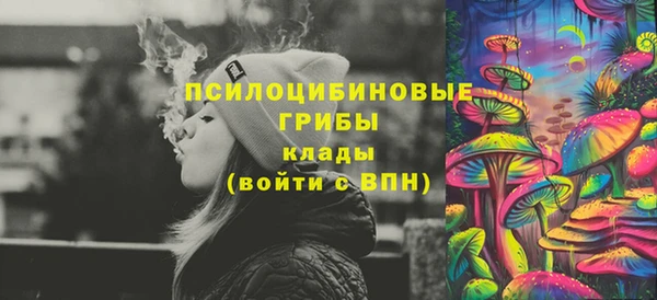 прущие грибы Баксан