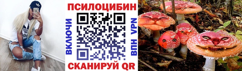 что такое наркотик  Сысерть  MEGA как зайти  Псилоцибиновые грибы MAGIC MUSHROOMS 